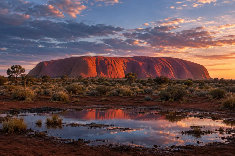 Uluru, the red sandstone monolith in central Australia, seen across desert oak and mulga scrub from the open viewing ground, after rain with a pool of reflected sky, blue pre-dawn light turning rose