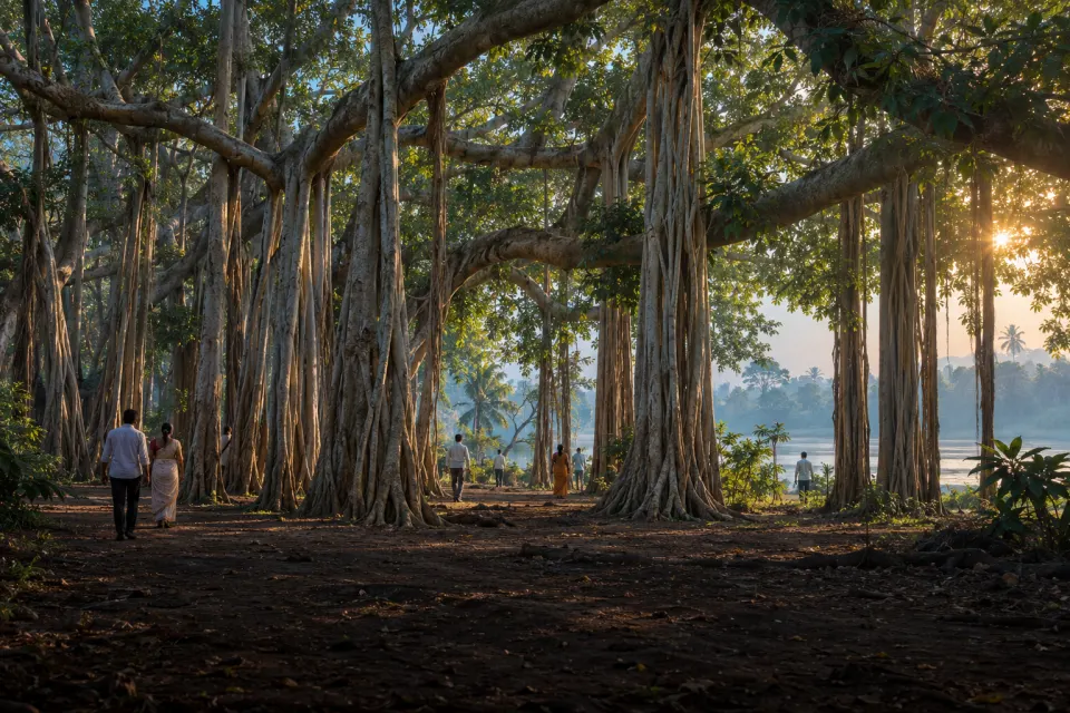 The Theosophical Society estate at Adyar, Chennai, a vast banyan tree and the river, visitors in everyday Indian dress, blue dawn